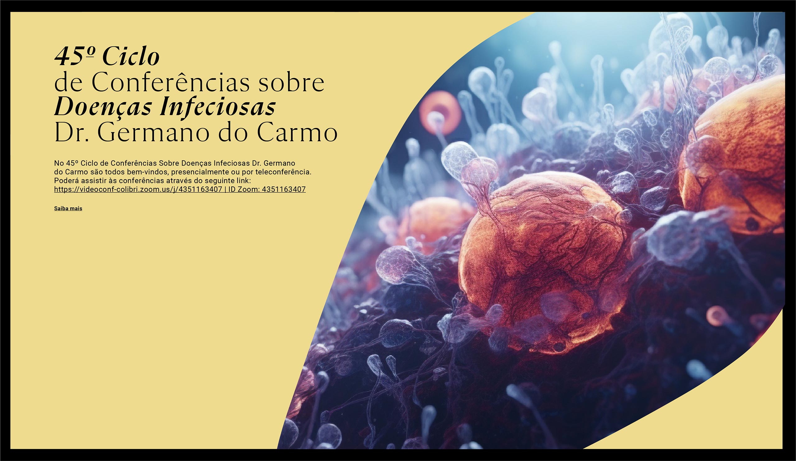 Homepage