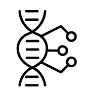 Genome Dynamics