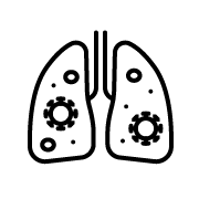 Thymus Organogenesis and Remodeling Unit