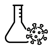 Molecular Microbiology and Infection
