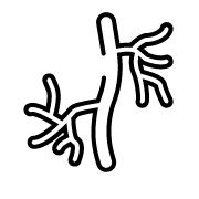 Angiogenesis