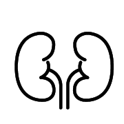 Cardiovascular Pharmacology & Therapeutics