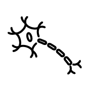 Neuron-Glia Dynamics Lab