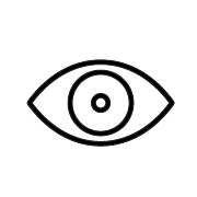Vision